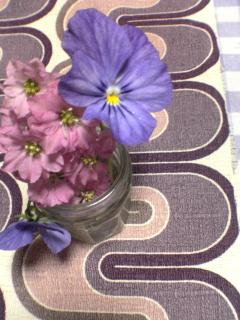 img20060602_1.jpg