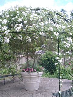 img20070604_1.jpg