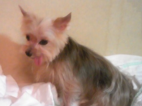 img20090730_1.jpg