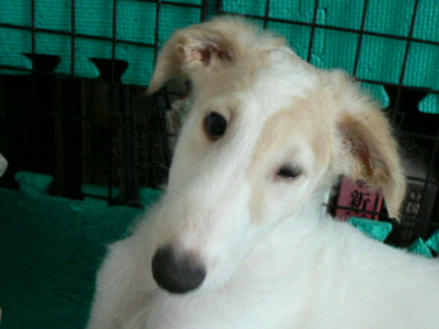p1030455%281%29.jpg
