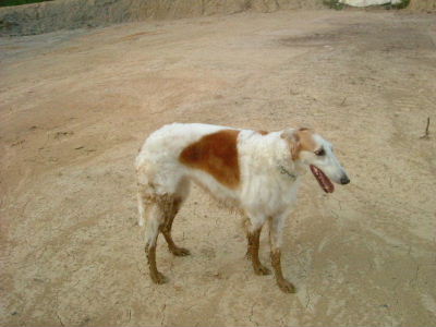 DSCF9403.jpg