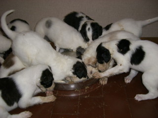 img20060627_1.jpg