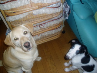 img20060924_1.jpg