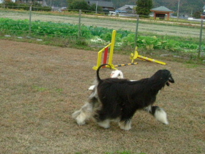 DSCF0847.jpg