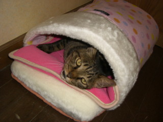 img20061024.jpg