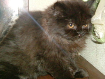 DSCF9808.jpg