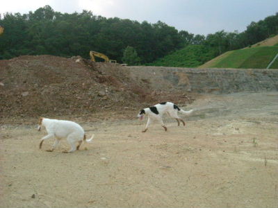 DSCF9400.jpg