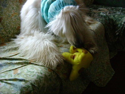 DSCF1280.jpg