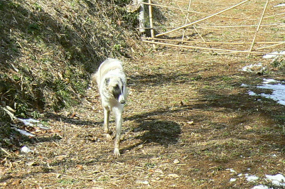 p1050094%281%29.jpg