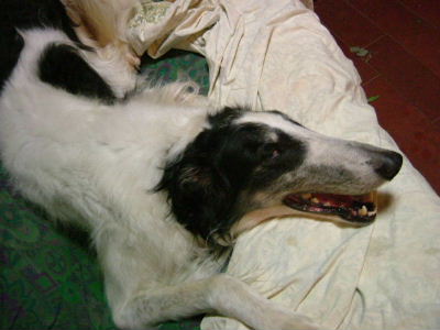 DSCF0213.jpg