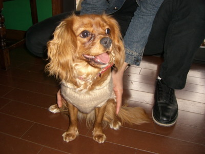 img20070303.jpg