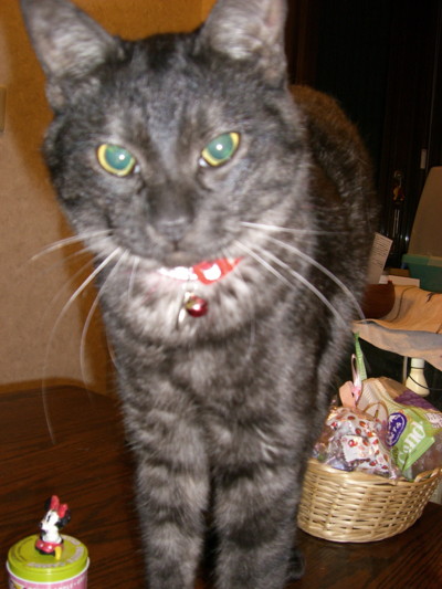 img20060504_3.jpg