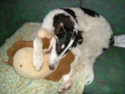 DSCF9430.jpg
