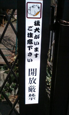 img20090322.jpg
