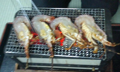 img20090128_5.jpg