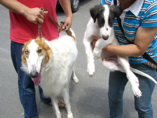 img20060722.jpg
