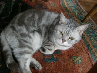 img20070222_2.jpg