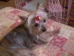 SANY0036