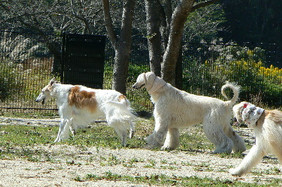 p1030961%281%29.jpg
