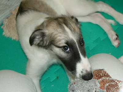 p1030435%281%29.jpg