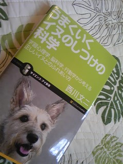 img20090814.jpg