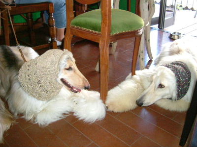 DSCF0159.jpg
