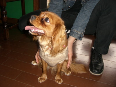 img20070303_1.jpg