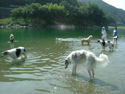 DSCF9610.jpg