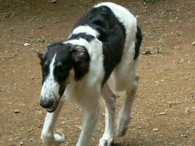 p1030900%281%29.jpg