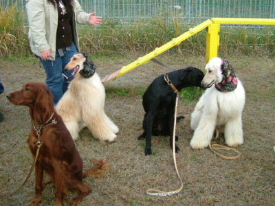 DSCF0882.jpg