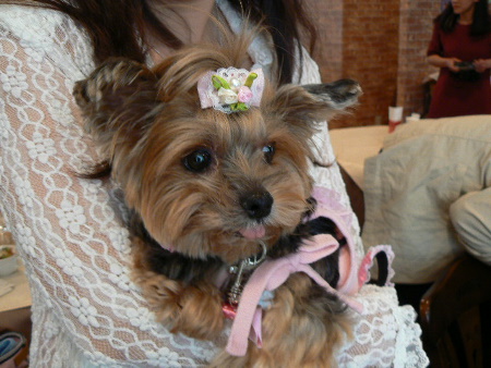 p1010945%281%29.jpg