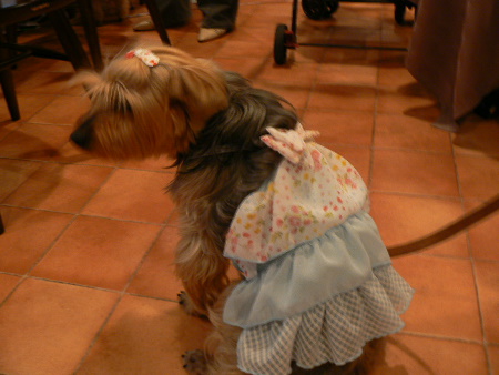 p1020054%281%29.jpg