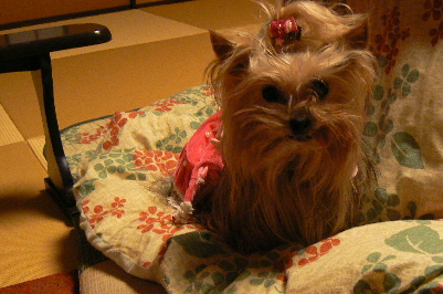p1050043%281%29.jpg