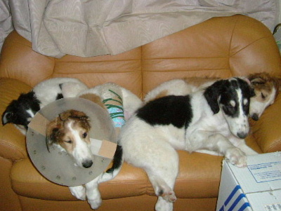 DSCF7834.jpg