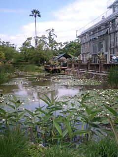 img20070604_2.jpg