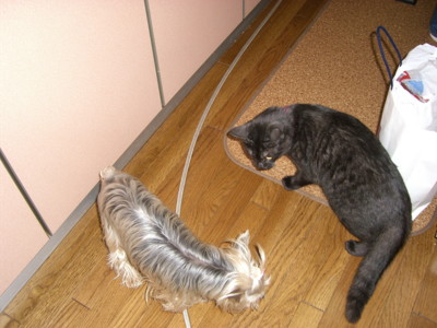 img20060504_4.jpg