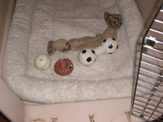 img20060826.jpg