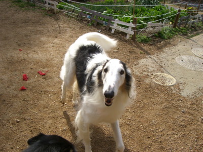 img20070228_2.jpg