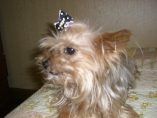 img20060826_4.jpg
