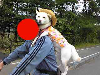 caoqkyrh.jpg