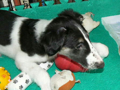 p1030431%281%29.jpg