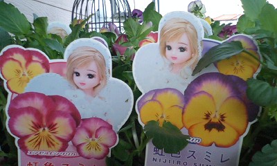 img20081127_1.jpg