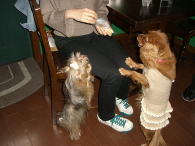img20070303_2.jpg