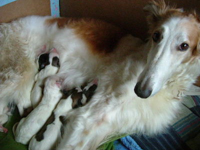 DSCF6388.jpg