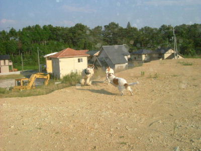 DSCF9804.jpg