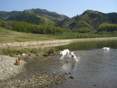 img20070429_1.jpg