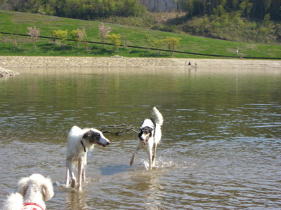 img20070429_9.jpg