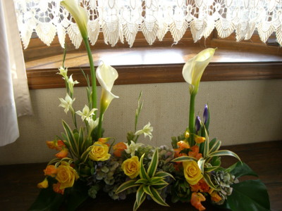 img20070228_5.jpg