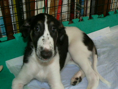 p1030434%281%29.jpg