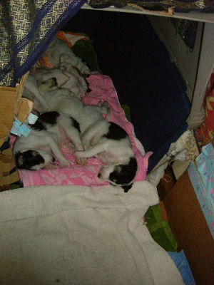 DSCF6980.jpg